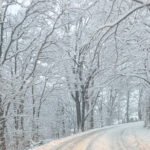 Portable backup generator for winter storm