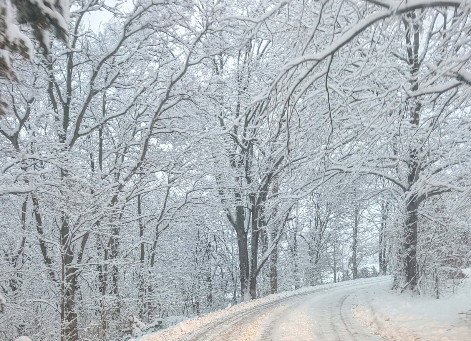 Portable backup generator for winter storm